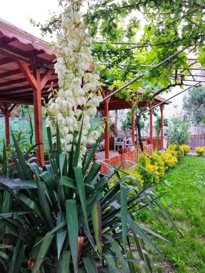 Kilic Motel Isztambul Kültér fotó